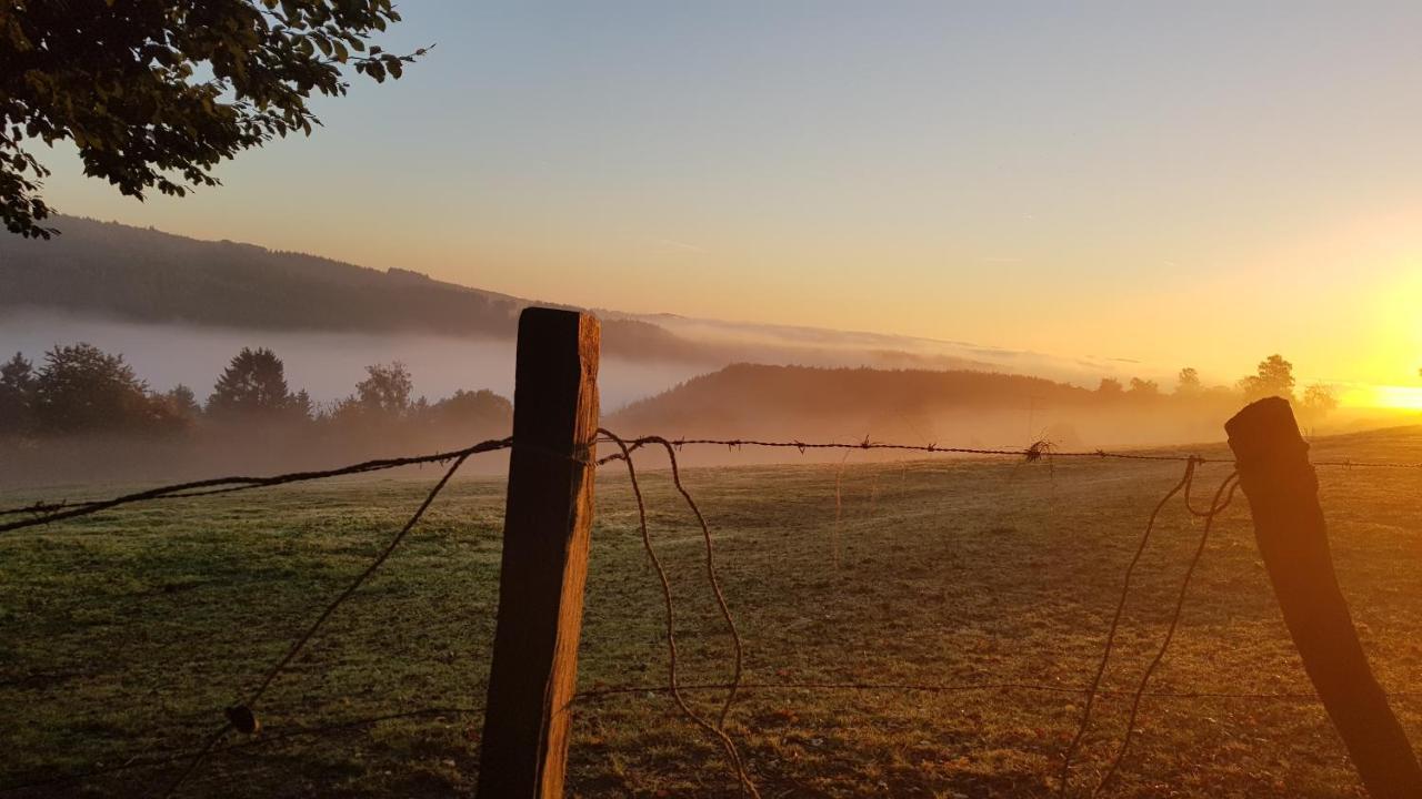 Sonnenschein Am Rursee Ferienhaus *