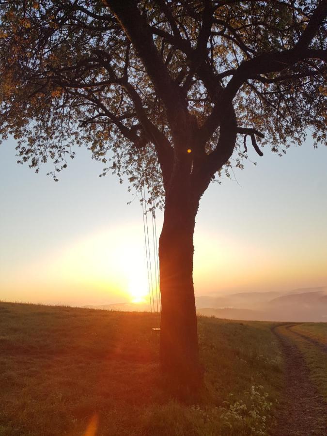 Sonnenschein Am Rursee Ferienhaus *